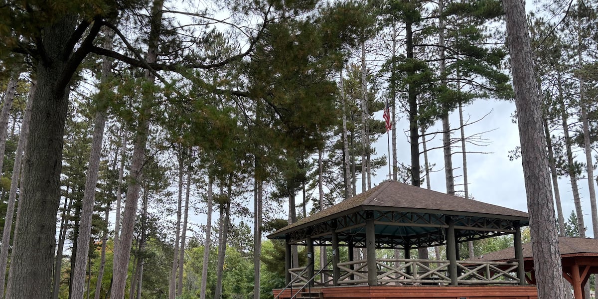 Forsyth Forward adds free WiFi to downtown park