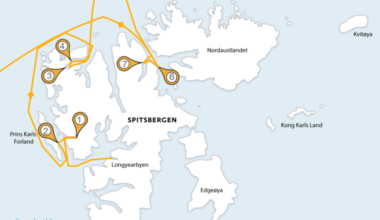To the Arctic, part 6: Ice day - Why Evolution Is True