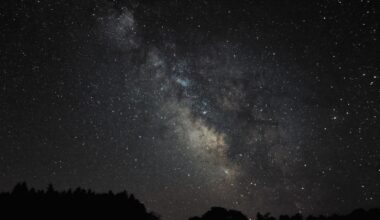 a wisp of white light crosses the night sky