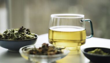 Green Tea and Vitamin B3 Combo Shows Promise for Improving Brain Health