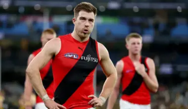 New Essendon president Andrew Welsh's surprise Zach Merrett claim image