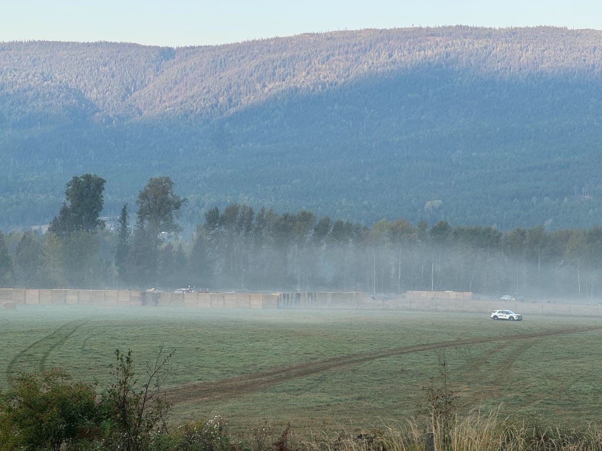 A line of hay bales and an RCMP vehicle are seen in a field at an ostrich farm with morning fog settling over the area.