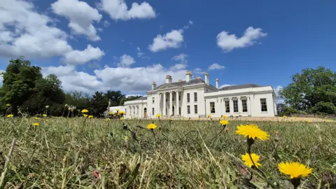 Stuart Woodward/BBC Hylands House in Hylands Park, Chelmsford. It is a large white coloured building with four white pillars in the centre in front of the main doors. There are trees either side of the building. In the foreground is grass and yellow flowers, with blue skies and white clouds above.
