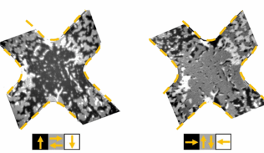 How to Switch an Antiferromagnet