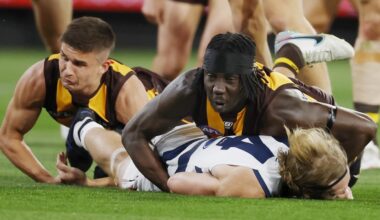 Hawthorn’s Mabior Chol overturns dangerous tackle ban for Tom Stewart tackle at Tribunal, video, three-week suspension appeal, latest news