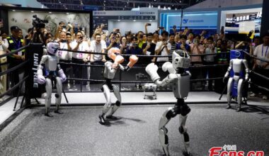 Humanoid robot boxing competition showcased at 4th Global Digital Trade Expo in Hangzhou
