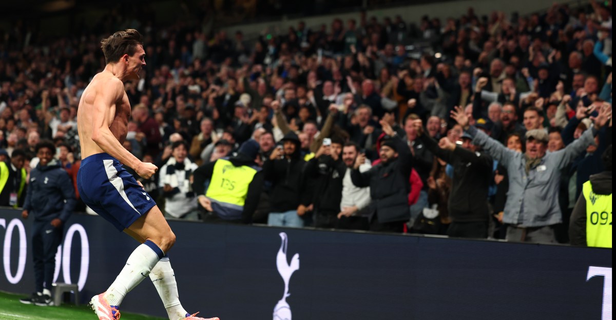 Tottenham Hotspur 1-1 Wolves: Spurs hunt down late point