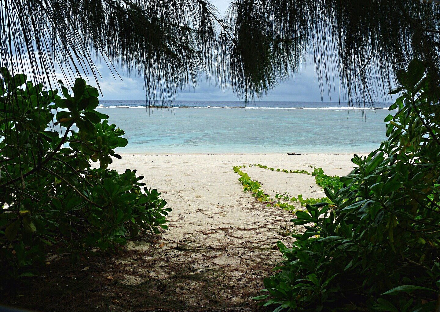 Guam National Wildlife Refuge beach