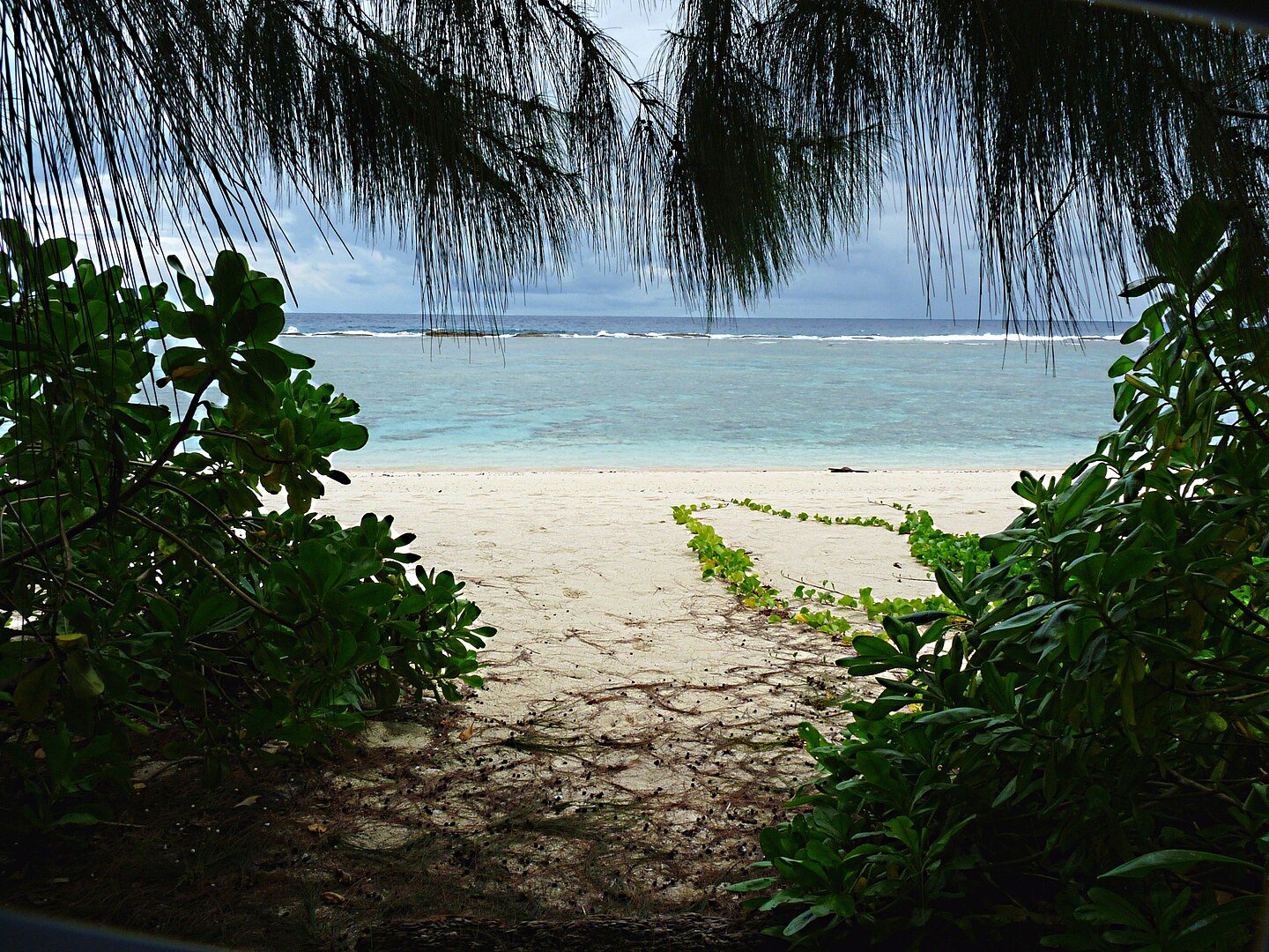 Guam National Wildlife Refuge beach