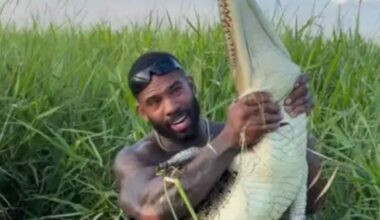 Steve Irwin's father slams 'disgusting' influencer for wrestling with crocodiles