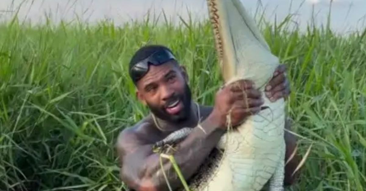 Steve Irwin's father slams 'disgusting' influencer for wrestling with crocodiles