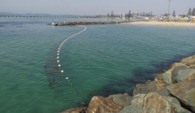 Shark nets do protect human life