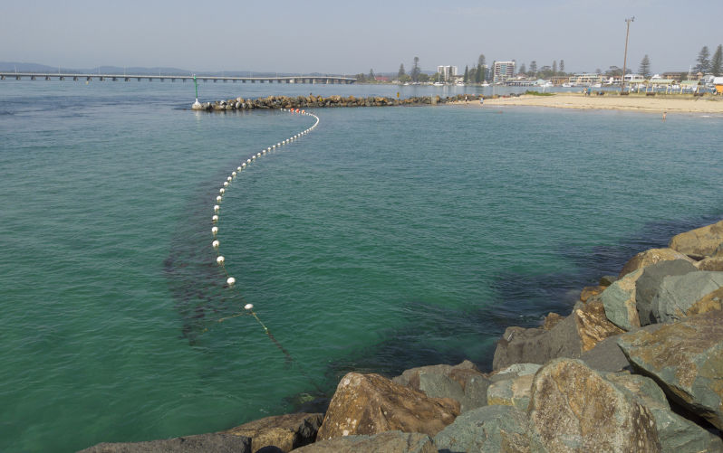 Shark nets do protect human life