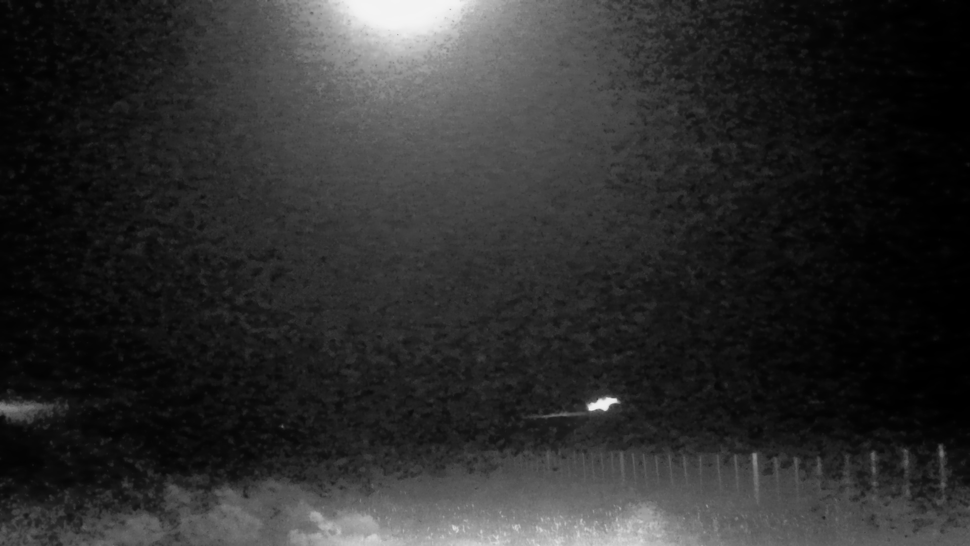 A wildlife camera photo showing strange photos in the night sky