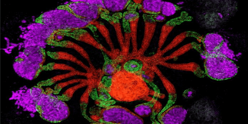 Drug Discovery News Logo