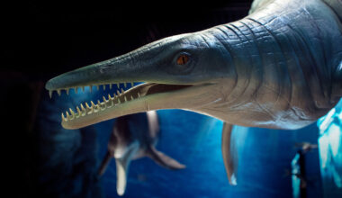 Ancient Sea Creatures Humans Discovered In 2025