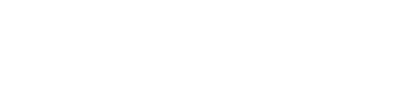 Bruce Springsteen