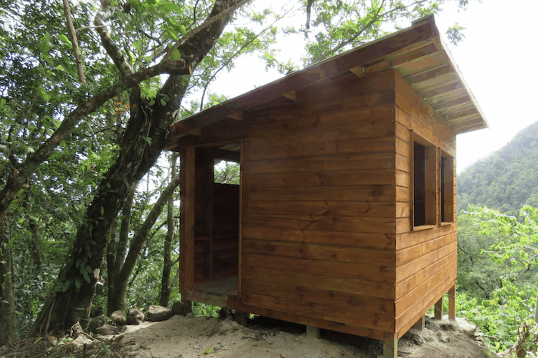 A bird 'hide' or 'blind' built in Uafato in hopes of facilitating an extremely rare sighting of an adult manumea, Samoa's critically endangered 'little dodo.' Image courtesy of Samoa Conservation Society.
