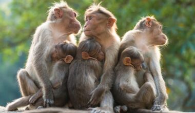 File Image: Manorama