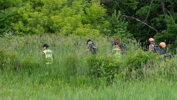 Quebec mother who abandoned toddler in field will remain in psychiatric hospital