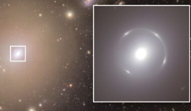 Perfect Einstein ring galaxy lensing