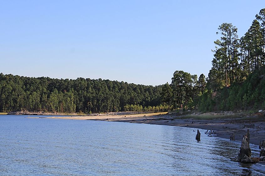 A view of the Sam Rayburn Reservoir. 