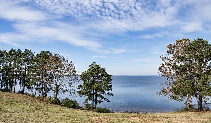 Toledo Bend Reservoir at Louisiana/Texas State line.