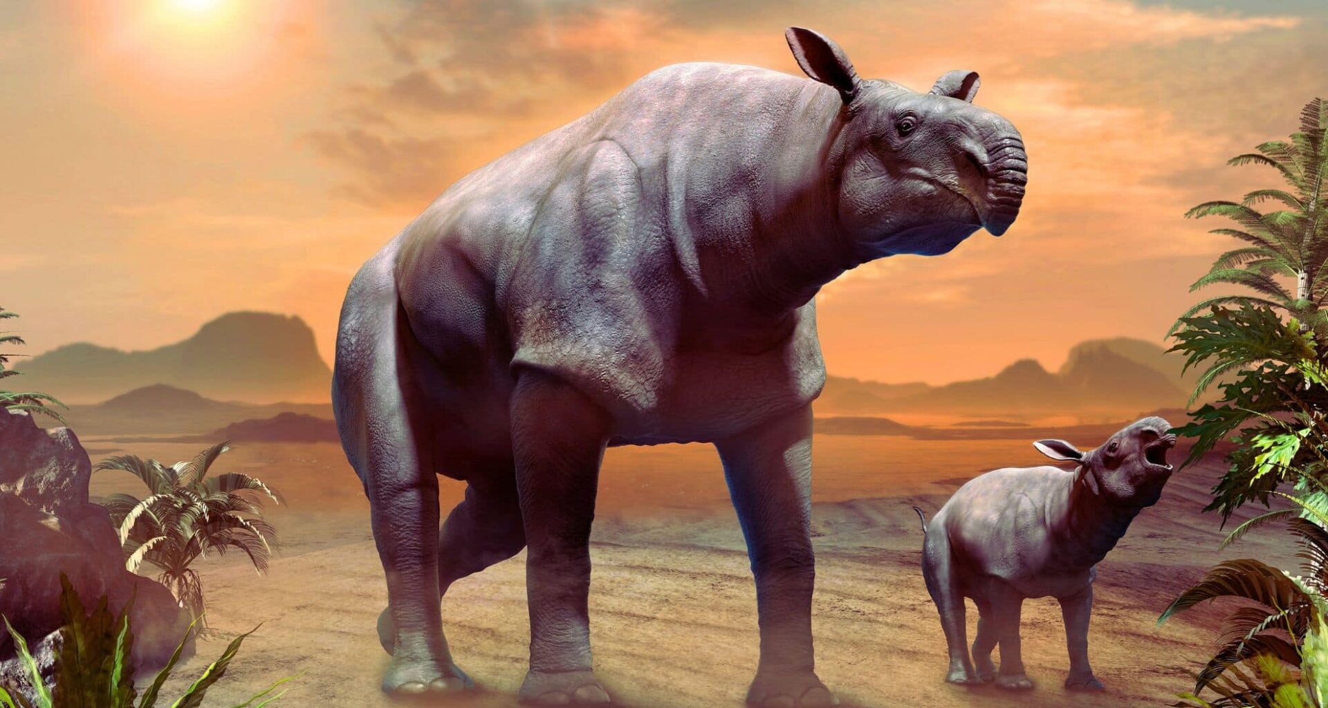The Largest Land Mammal Ever To Walk The Earth Meet Paraceratherium, The Giant Rhino That Dwarfed Elephants
