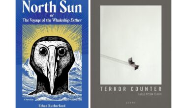 Two Deep Vellum books longlisted for National Book Awards