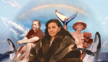 A graphic showing three Indigenous women, surrounded by ocean and cut-outs of whales.