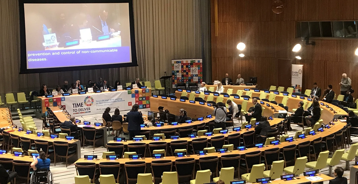 Fourth High-level Meeting of the UN General Assembly on the prevention and control of NCDs and the promotion of mental health and wellbeing (HLM4)