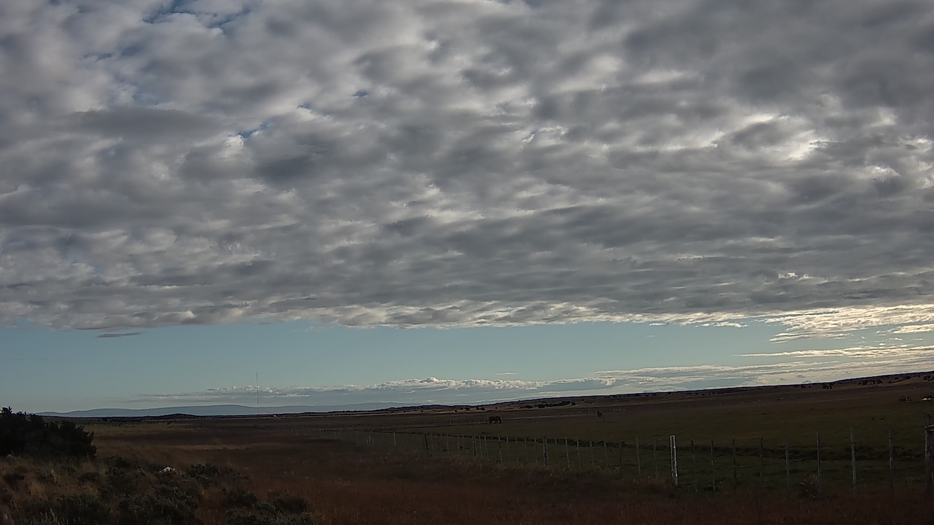 A wildlife camera photo of a field in Patagonia with a cloudy sky