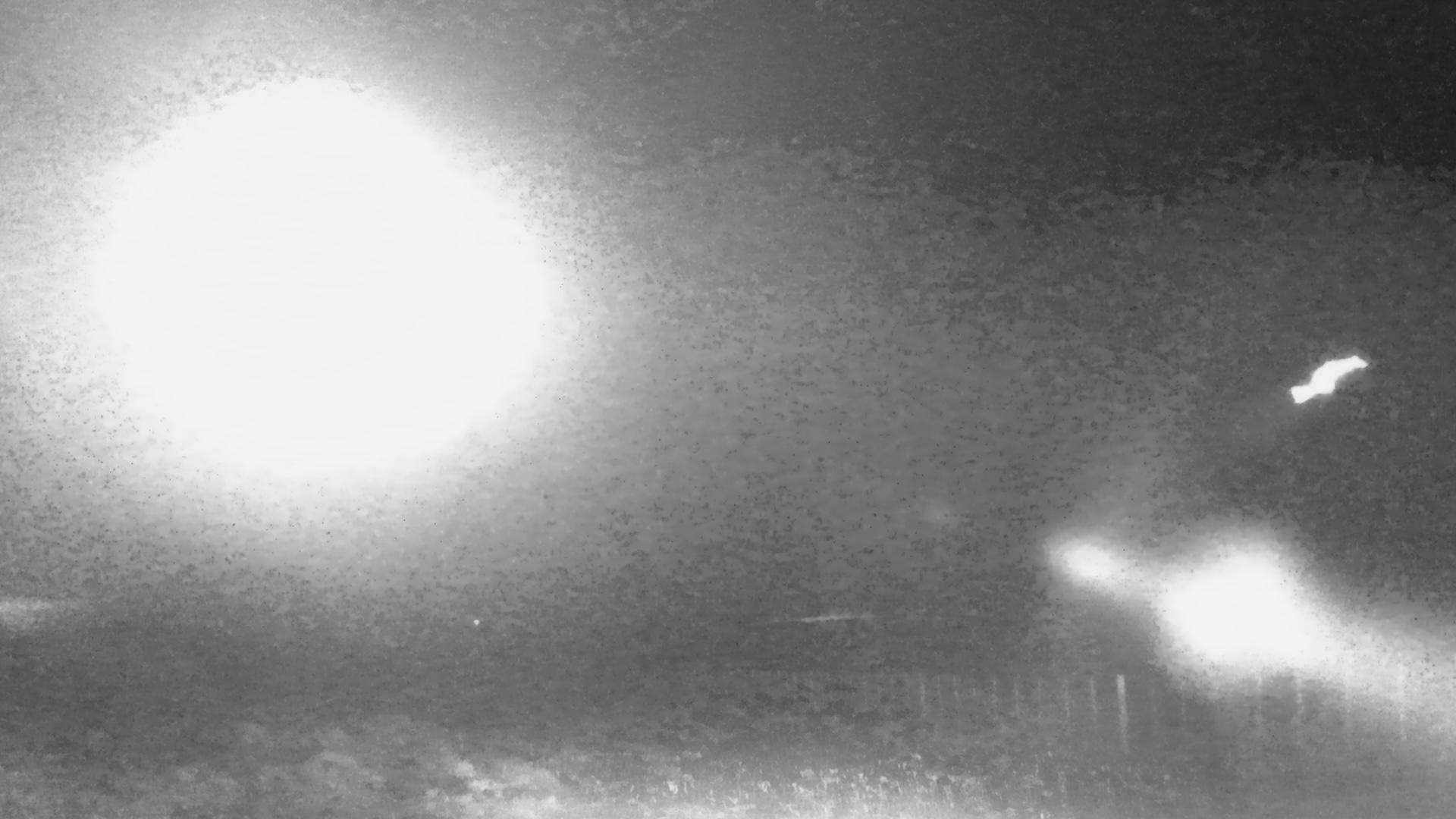 A wildlife camera photo showing strange photos in the night sky