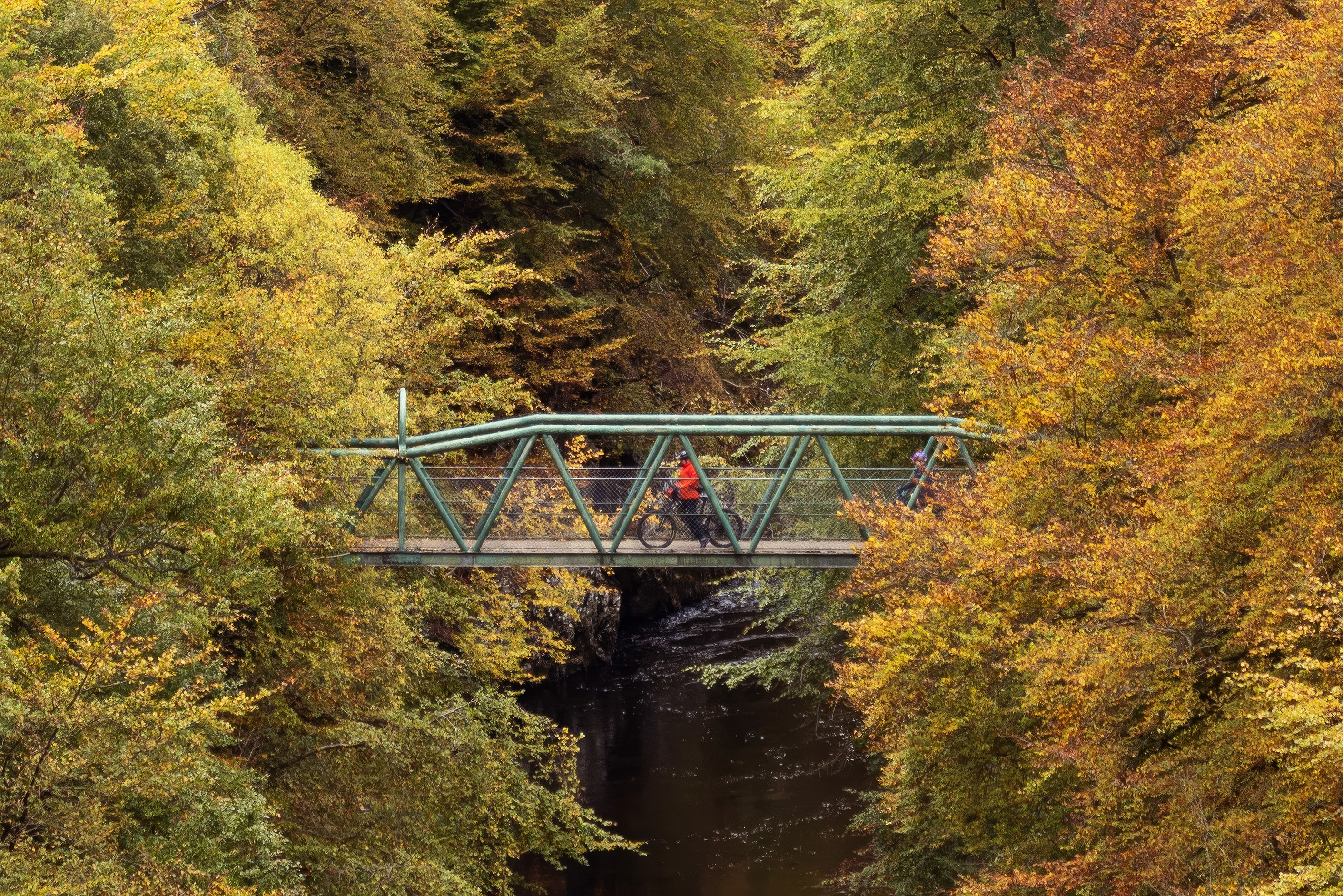 NINTCHDBPICT001032573745