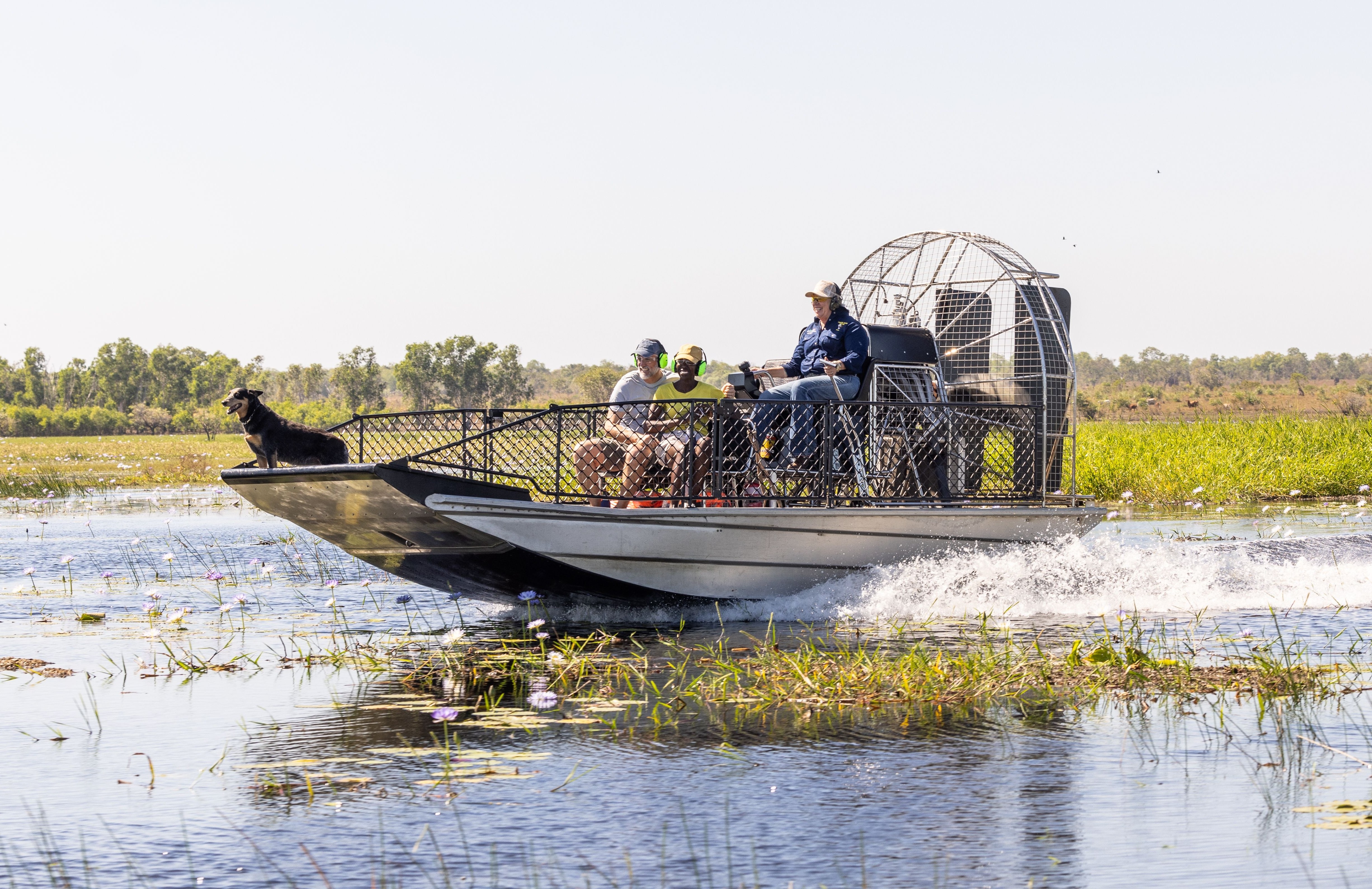 An airboat with passengers and a dog on the bow speeds across a river with lily pads and tall green grass on the banks.