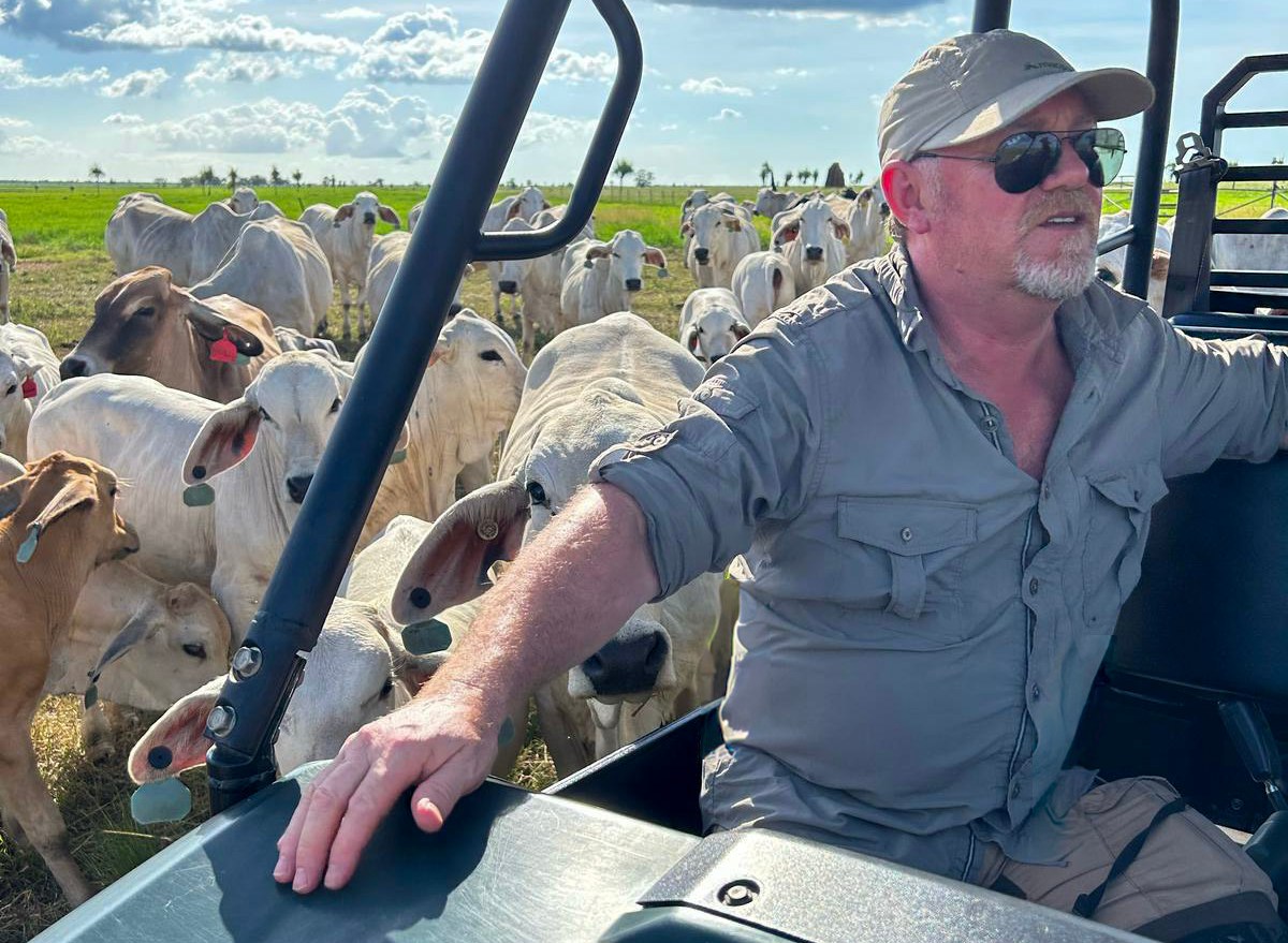 Chris Haslam in a Finniss River Lodge vehicle, surrounded by white cows.