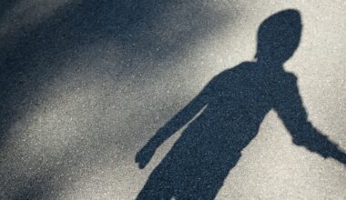 Public consultation launched on the standards of CAMHS