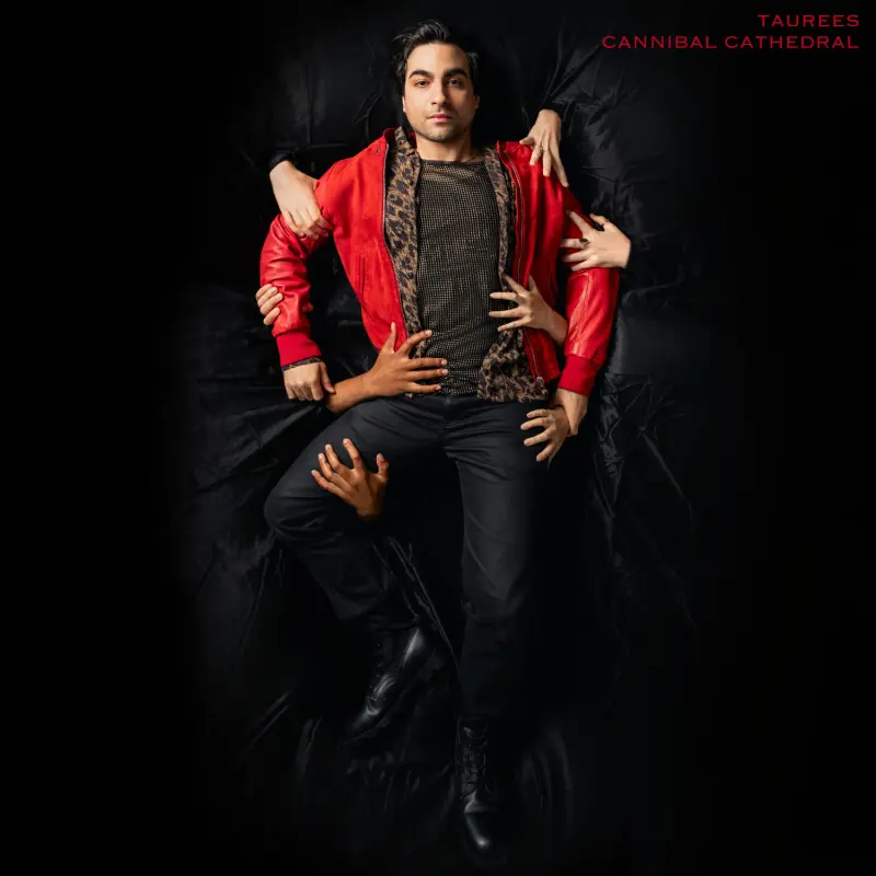Pakistan’s Taurees Habib is so much more than his Grammy, and ‘Cannibal Cathedral’ proves it - Culture