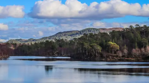 Getty Images The loch is in an area of woodland and tree-covered hills. The loch's water is calm and reflects the blue sky and white clouds above.