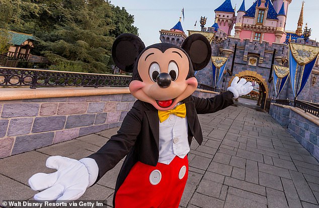 While getting to portray a character at a Disney theme park may seem like a dream come true to some, an alleged new document has seemingly revealed how hard the job is (stock image)