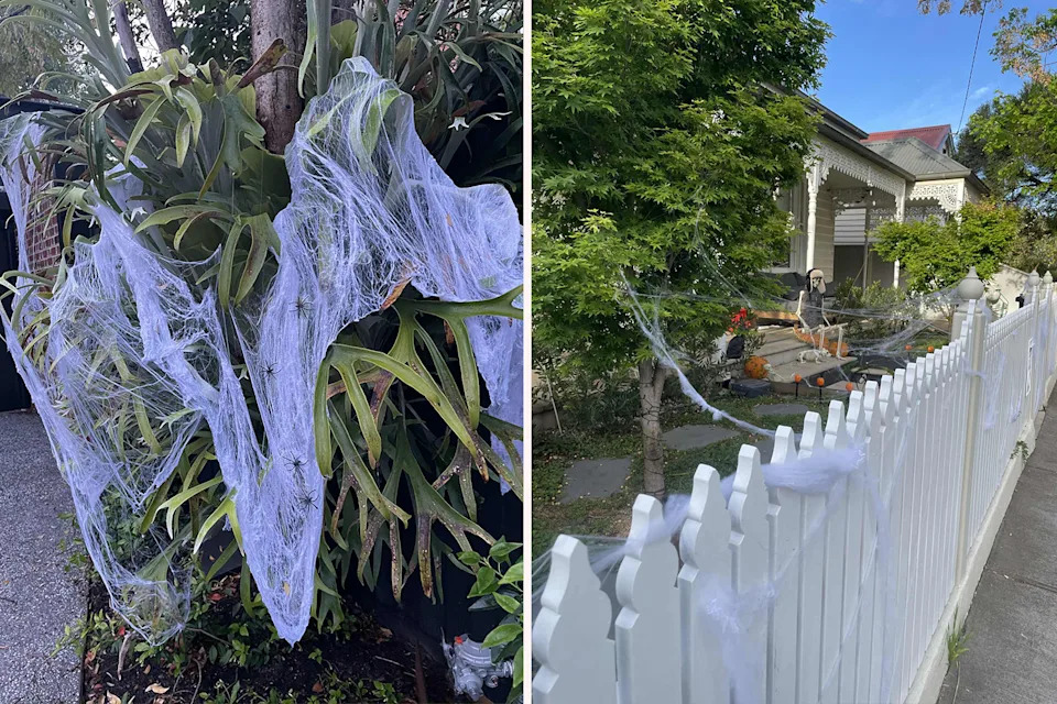 Left: Close up of fake spider webs hung on a plant in Yarraville. Right: A yard with fake webs.