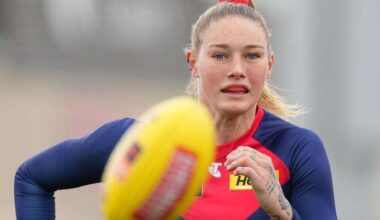 Harris lays out the big hits as Demons down Bombers