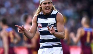 Cats confident in management of star midfielder