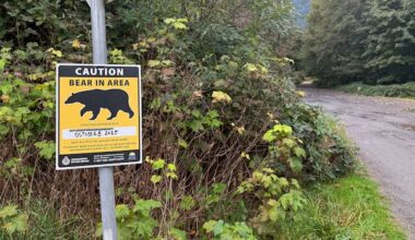 Woman attacked by mother bear while walking dog on Squamish, B.C., trail