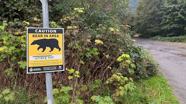 Woman attacked by mother bear while walking dog on Squamish, B.C., trail