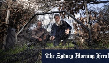 AI smart traps rolled out to protect native species