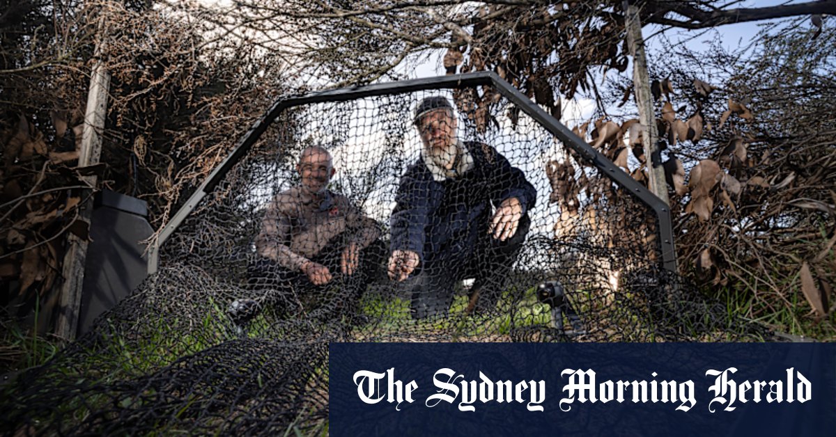 AI smart traps rolled out to protect native species