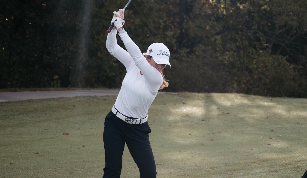 Kansas State University Logo