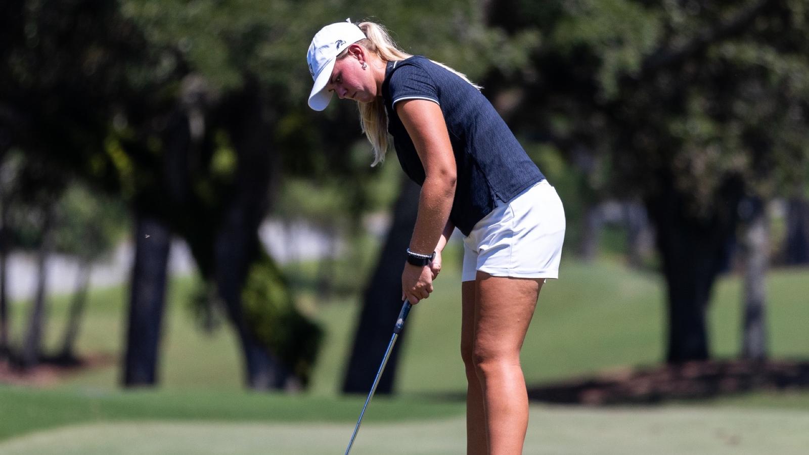 Image of the Old Dominion logo