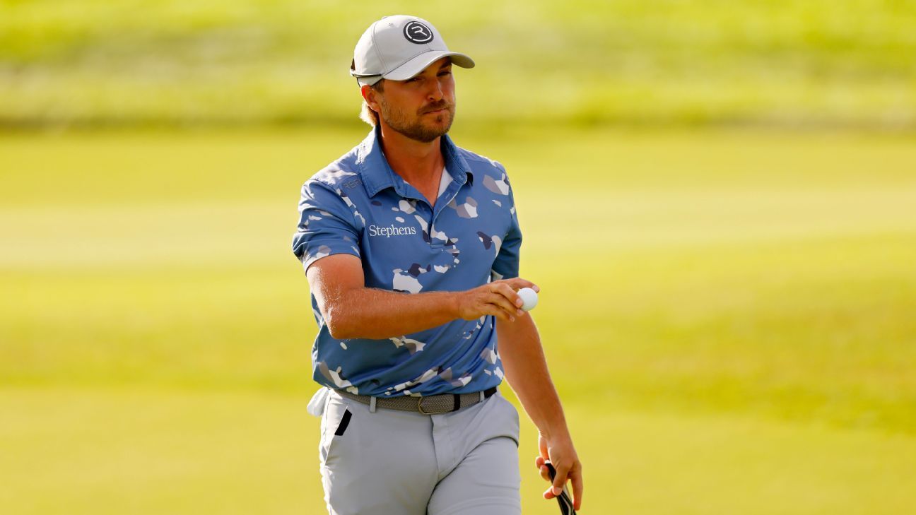 Late-entry Cook has hot start before play halted at Black Desert